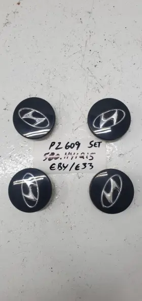 P2609 Hyundai 2015 Sonata Center Cap Assembly