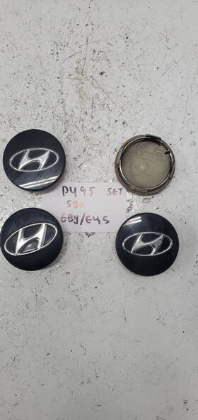 Hyundai P495 2013 Elantra Center Caps Assembly