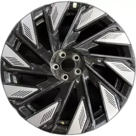R2tc-1a096-ab Lincoln 10565 2024-2025 Nautilus 22 Inch Oem Black Center Cap - One/1
