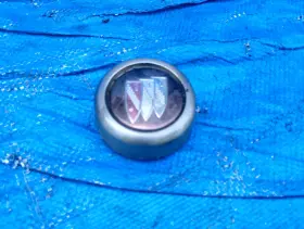 1250905 Oem 1975 1976 1977 1978 1979 1980 Buick Skyhawk Wheel Center Cap Rally 1250905 Oem 1975 1976 1977 1978 1979 1980 Buick Skyhawk Wheel Center Cap Rally