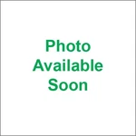 Raceline Wheel Replacement Caps CPR-A14G-156. Price: $26.99.