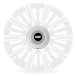 2021-2024 Escalade Polished Center Cap W/ Black 85119689 See Notes Oem Gm New. Price: $39.98.