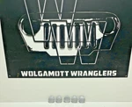 97-06 Jeep Tj Wrangler 97-01 Cherokee Xj 2" Center Caps Set Of 5DY07TRMAB Nice Used. Price: $60.06.