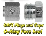 Face Seal Orfs Plugs And Caps: (-8) 1/2" New. Price: $24.99.