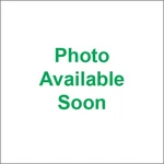 Raceline Wheel Replacement Caps #CPR-A14G-156. Price: $25.31.
