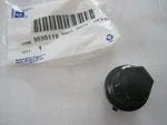 Gm Nos Part 9595119 Lug Nut Cover Fits 30 Different Models New. Price: $8.99.
