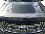 2009-2014 Ford F-150 Decals Center Hood Stripes 3M Graphics Vinyl Stickers New. Price: $39.16.